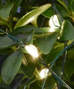 Sirius Garden & Outdoors Outdoor Micro LED String 40 Lights 3.9M