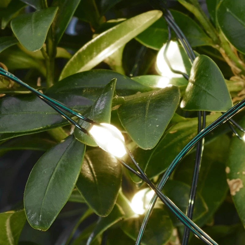 Sirius Garden & Outdoors Outdoor Micro LED String 40 Lights 3.9M