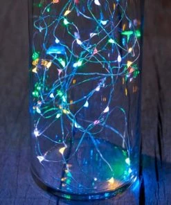 Sirius Indoor Multi LED String 20 Lights Decorative Accessories