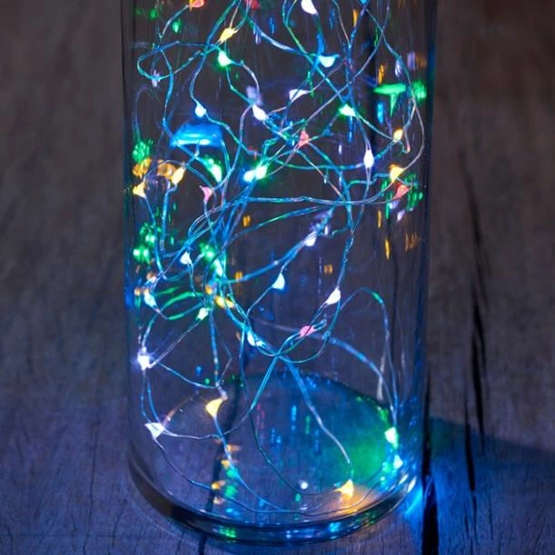 Sirius Indoor Multi LED String 20 Lights Decorative Accessories