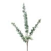 Parlane Eucalyptus Stem In Green Grey Flowers & Plants