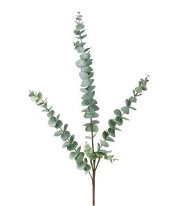 Parlane Eucalyptus Stem In Green Grey Flowers & Plants