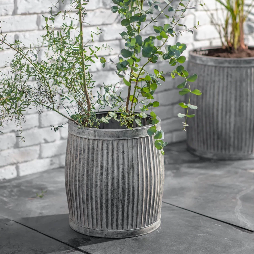 Garden Trading Dolly Tub Planter Small Flowers & Plants