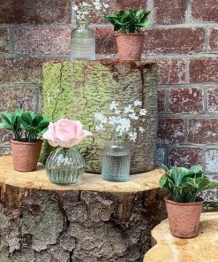 Terrace And Garden Flowers & Plants Faux Green Potted Plant