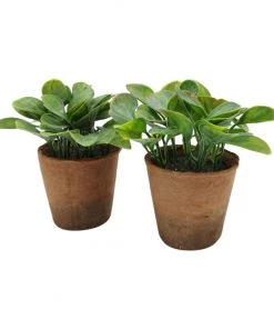 Terrace And Garden Flowers & Plants Faux Green Potted Plant