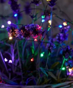 Sirius Lighting Indoor/Outdoor Multi Lights 40LED