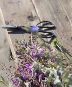 IB Laursen Artisan Scissors Long Decorative Accessories