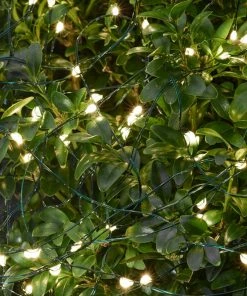 Sirius Garden & Outdoors Outdoor Micro LED String 40 Lights 3.9M