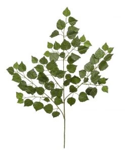 Treelocate Birch Branch