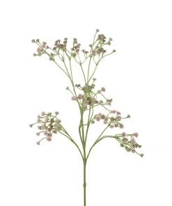 Parlane Pink Gypsophila Spray