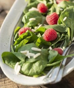 IB Laursen Oval Stoneware Platter