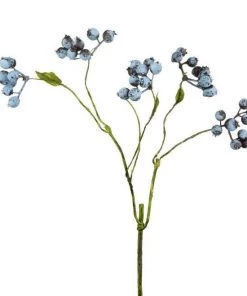 Parlane Blueberry Spray