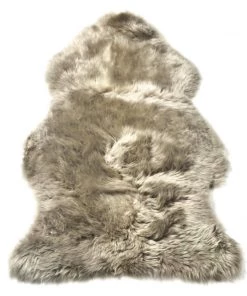 Camperdown Lane Single Sheepie In Vole