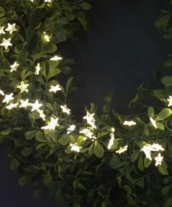 Sirius Outdoor Micro Star LED String 40 Lights