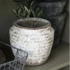 IB Laursen Decorative Accessories White Crackle Terracotta Pot
