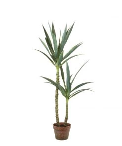 Parlane Faux Yucca Plant Short Flowers & Plants