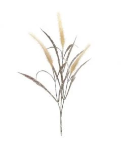 Parlane Grass Foxtail Stem Flowers & Plants