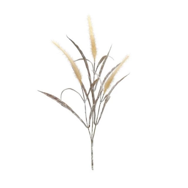 Parlane Grass Foxtail Stem Flowers & Plants