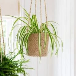 Garden Trading Jute Hanging Planter