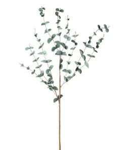 Heaven Sends Flowers & Plants Green Eucalyptus Stem