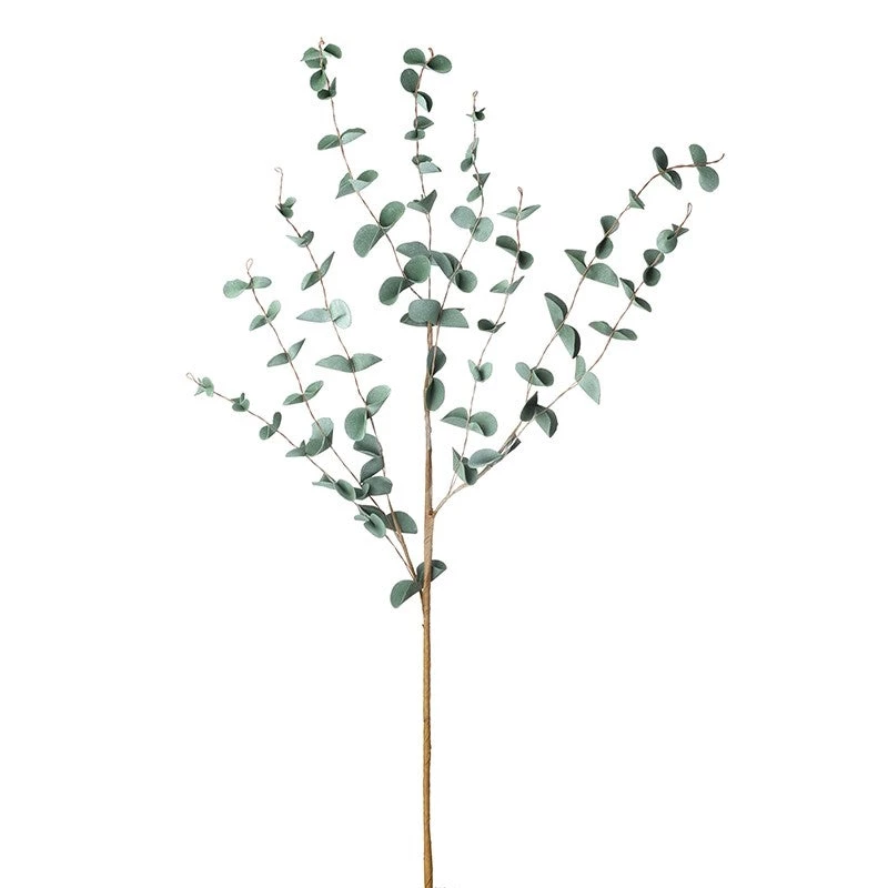 Heaven Sends Flowers & Plants Green Eucalyptus Stem