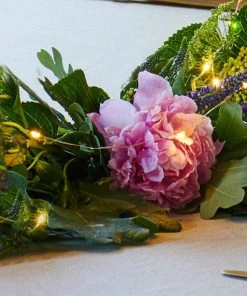 Sirius Indoor Micro LED String 40 Lights Lighting