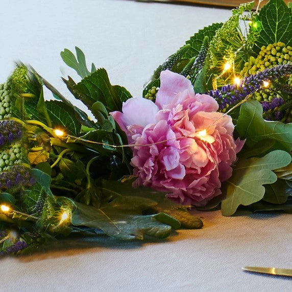 Sirius Indoor Micro LED String 40 Lights Lighting