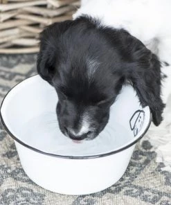 IB Laursen Kitchen & Dining Large Enamel Dog Bowl