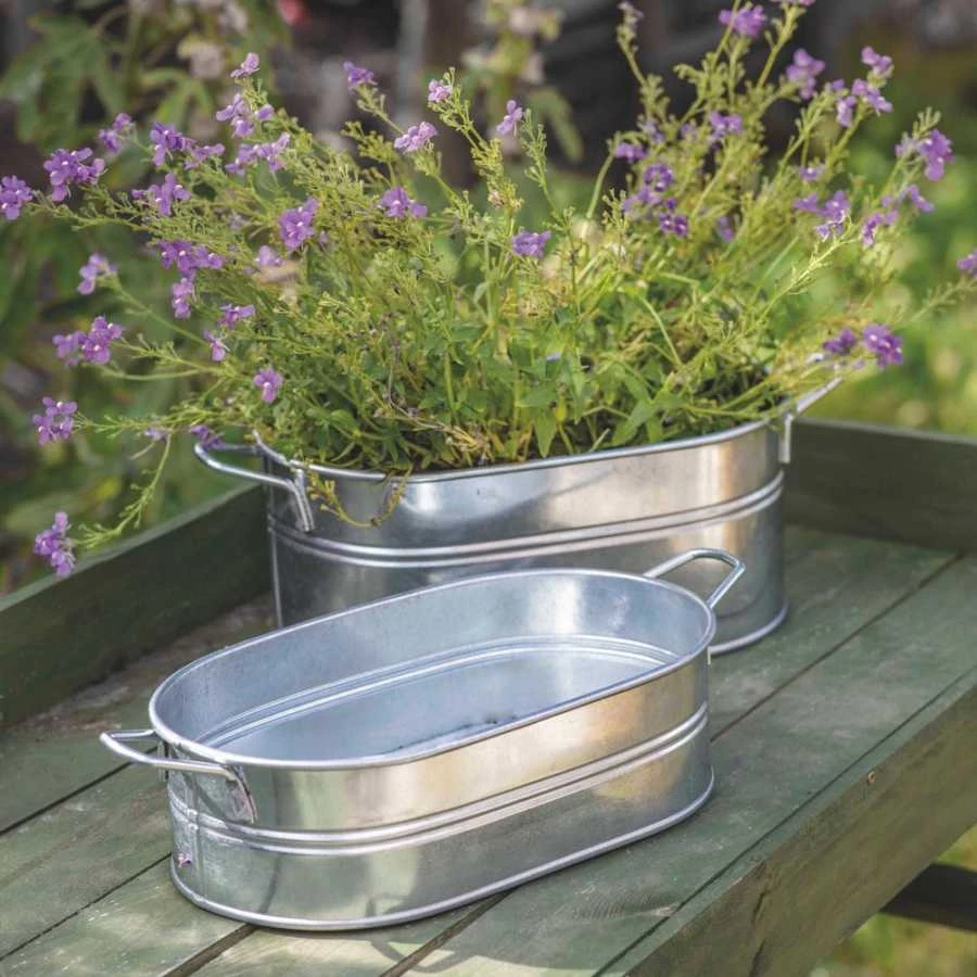 Garden Trading Galvanised Trough Large Flowers & Plants