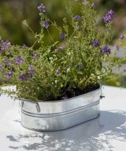 Garden Trading Galvanised Trough Small