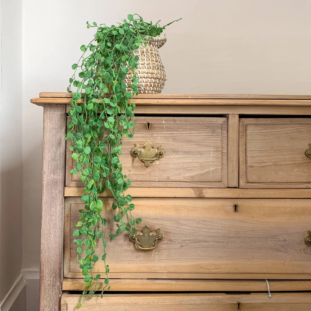 Gisela Graham Trailing Faux String Of Hearts Flowers & Plants