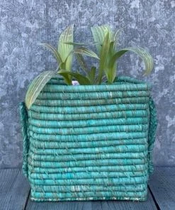 Rice By Rice Square Raffia Basket In Mint
