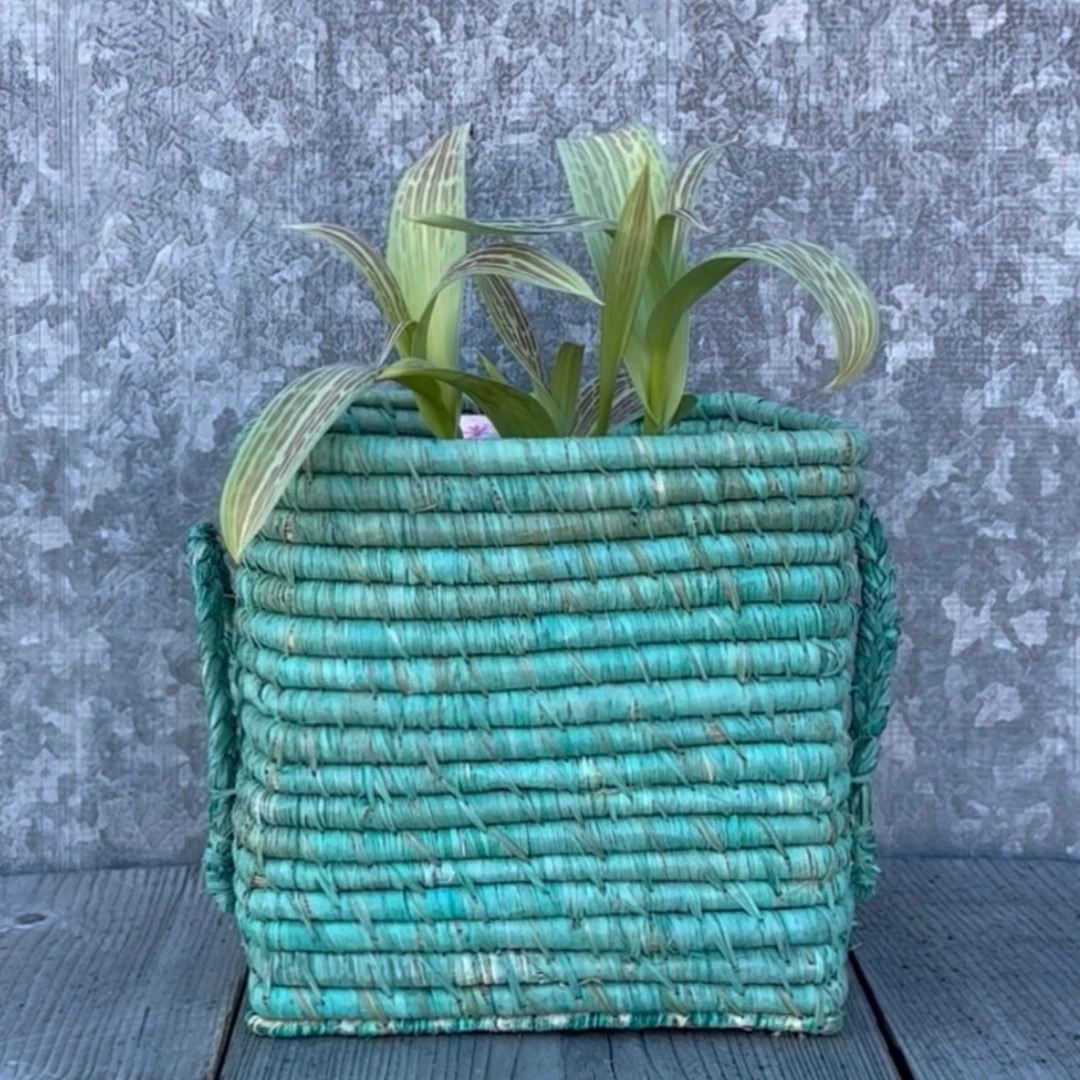 Rice By Rice Square Raffia Basket In Mint