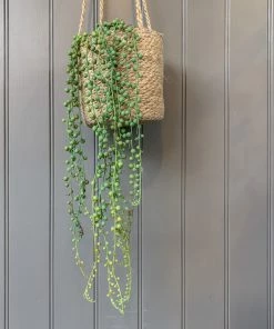 Gisela Graham Flowers & Plants Trailing Faux String Of Pearls