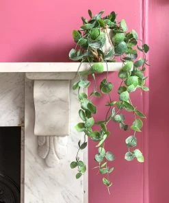 Gisela Graham Potted Faux Trailing Hoyas Plant Flowers & Plants