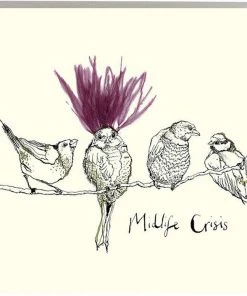 Anna Wright Art Cards And Gift Wrap Midlife Crisis Card