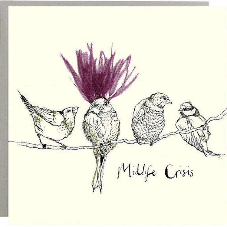 Anna Wright Art Cards And Gift Wrap Midlife Crisis Card