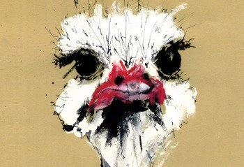 Anna Wright Art Mr Ostrich Card