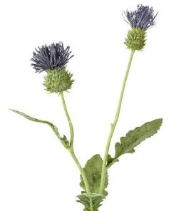 Parlane Thistle Spray
